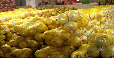 广州江南果菜批发市场 批发市场 最大的水果批发市场 蔬菜批发市场 江南市场